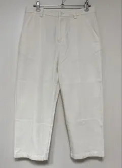 evam eva エバムエバ　コットンシルク　クロップド　新品　オフホワイト