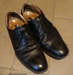 Item thumbnail for item 66f5624c-b36b-412e-a0b6-6e8b7cfcdf74