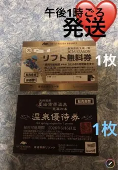 2026年最新】夏油高原 リフトの人気アイテム - メルカリ