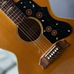 ★第２弾ギブソンJ200スタイル！トムソンJ-400がこれだ！超爆激鳴・超美品★ ☆第2弾ギブソンJ200スタイル！トムソンJ-400がこれだ！超爆激鳴・超