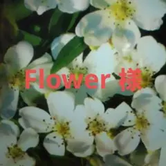 Flower Flower゜・*:.。.様 リクエスト 3点 まとめ商品