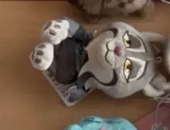 専用ページ