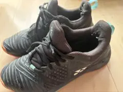 Item thumbnail for item 5e1c09e9-c709-4b71-8244-e152dfc012a3