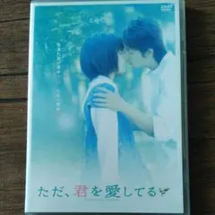 ただ,君を愛してる スタンダード・エディション('06 2006「ただ,君を愛…