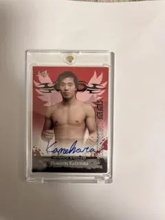 Item thumbnail for item 20eee6c2-0fec-43b4-8a29-d08ee29dafea