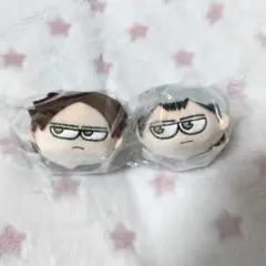 ハイキュー！！プラザ　ジロリ　たわらっこ　角名　北