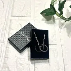 新品❣️Ludus Felis ダブルリングネックレス アレルギー対応 メンズ