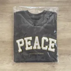 Item thumbnail for item ac440aa5-66c7-454b-8414-7fd03118a05b