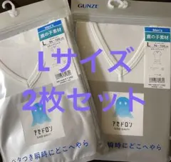 新品未開封 グンゼ アセドロン VネックTシャツ Lサイズ 2枚セット