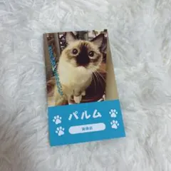 えりみー♡さま