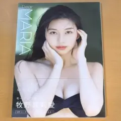 Item thumbnail for item bab53287-5ac2-4a7b-adac-235ce7ff893d