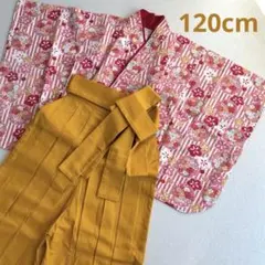 新品　簡易袴　袴　着物　セット　卒園式　七五三　着物ドレス　110 120