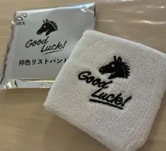 JRA ウェルカムチャンス 枠色リストバンド 白色