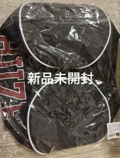 Item thumbnail for item 7cafbf2e-21f2-4ab9-812c-efd55516148a