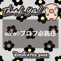 【マット紙1枚+シール紙1枚】nico☺︎プロフ必読様 リクエスト 2点 まとめ
