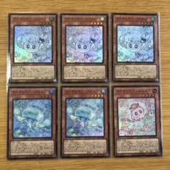 マルチャミーフワロス　プルリア　ニャルス　セット