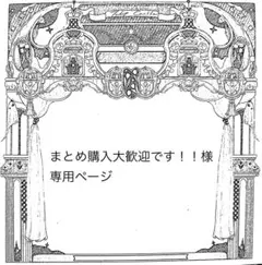 まとめ購入大歓迎です！！様専用ページ