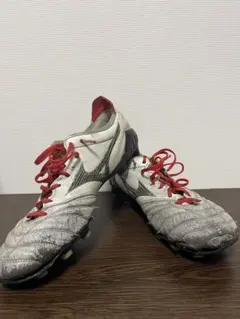 2025年最新】モレリア 25の人気アイテム - メルカリ