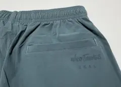 【WILDTHINGS×EKAL】エラスティック ナイロン ショーツ (M)のサムネイル
