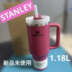 新品未使用★クリーンカンティーン✕ルースイソンブラ　ステンレスボトル　水筒 新品未使用☆クリーンカンティーン✕ルースイソンブラ ステンレス