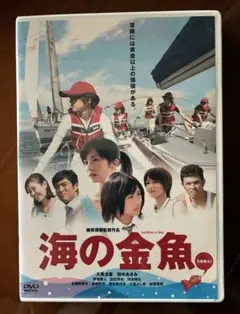 DVD 海の金魚 邦画 青春映画