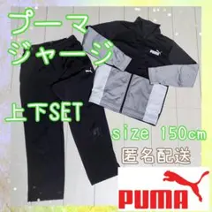 PUMA プーマ ジャージ 上下セット 150cm