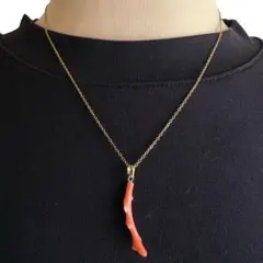 天然珊瑚 一級品 ネックレス 天然桃珊瑚 枝型トップネックレス46cm 艶美ピンク珊瑚一点物 - メルカリ