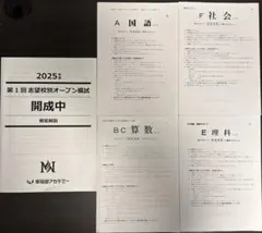 2026年最新】nn 早稲田 志望校別オープン模試の人気アイテム - メルカリ