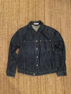 2025年最新】Levi's ENGINEERED JEANS メンズ Gジャン・デニム