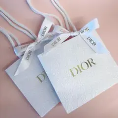 Dior リボン付き ショッパー ショップ袋 小サイズ 2枚 ディオール ロゴ
