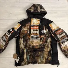 Supreme the north face 800 Fill Half Zip