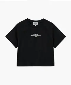W LETTERING LOGO CROP TEE ミニ丈T ブラック　完売品のサムネイル