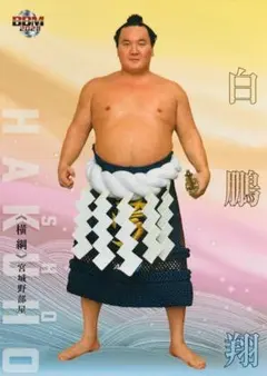 Item thumbnail for item f1f81ede-a21d-4276-95a5-abe0df0cdfbd