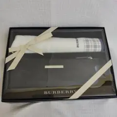 ✿BURBERRY ノバチェック ポーチ＆ハンカチ２点セット未使用保管品未開封✿