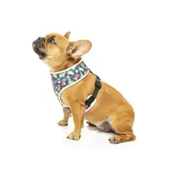 Item thumbnail for item 3bcdad21-5dcf-40ba-9500-31cf29b2810a