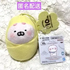 ちびちびうさまる ぬいぐるみセット+お家型収納バック(バラ売り不可) ぬいぐるみ収納(おかしのおうち) ちびちびうさまる – LINE