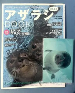 Item thumbnail for item 07eb5090-4010-4f35-88b4-b465270619ed