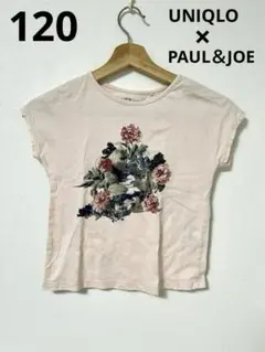 UNIQLO PAUL＆JOE 薄いピンク 花と猫のプリント Tシャツ 半袖
