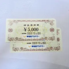 早稲田アカデミー 株主優待券 10000円分