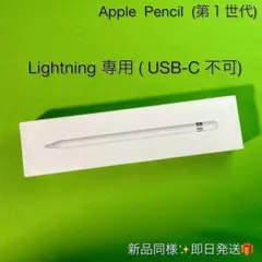【未使用✅】Apple Pencil 第1世代 A1603 Lightning用
