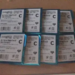 プロセカ ミニキャラ缶バッジC