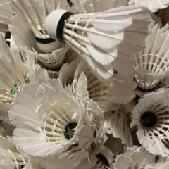 バドミントンシャトル100球のサムネイル