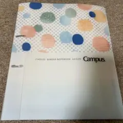 Item thumbnail for item ce096d38-9dee-4e98-a7d3-7c979fba0262