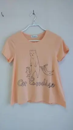 Item thumbnail for item 52bea841-046f-42d6-abc0-51ab90de1313