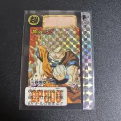 【希少激レア美品まとめ売り】ドラゴンボールカードダス 本弾91年キラセット 2025年最新】ドラゴンボール キラカードの人気アイテム - メルカリ