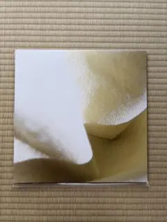 【新品】カネコアヤノ 『よすが』LP レコード カネコアヤノ よすがLPの通販はau PAY マーケット - 輸入雑貨のネット