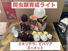【超爆安！！】エキゾテラ　ライトドーム　大量　計6つ 超爆安！！】エキゾテラ ライトドーム 大量 計6つ - メルカリ