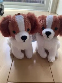 2026年最新】コーイケルホンディエの人気アイテム - メルカリ