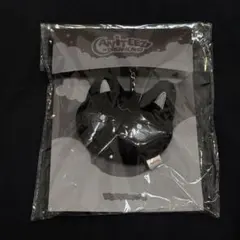 ANITEEZ DREAMLAND ウヨン キーリング