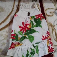 Item thumbnail for item b2b26002-1434-400b-8b56-d66791df615f